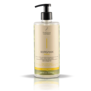 PROFESIONAL COSMETICS Borganic Anti-Frizz Shampoo šampūnas nuo plaukų šiaušimosi, 500 ml